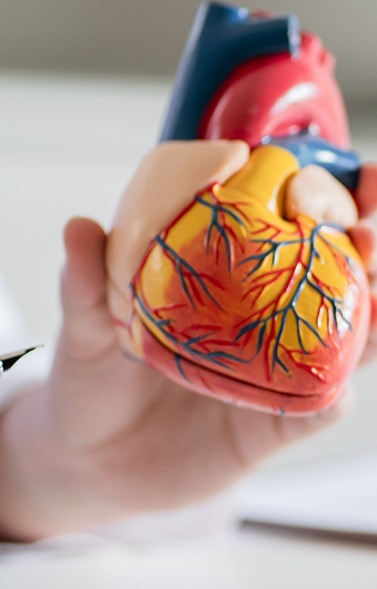 Cardiology Image